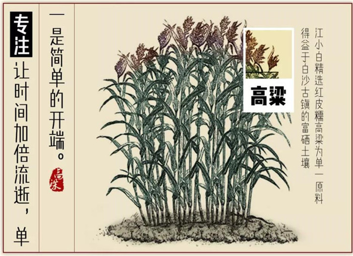 江小白：为了一口好酒，我们选择让时间走慢一点