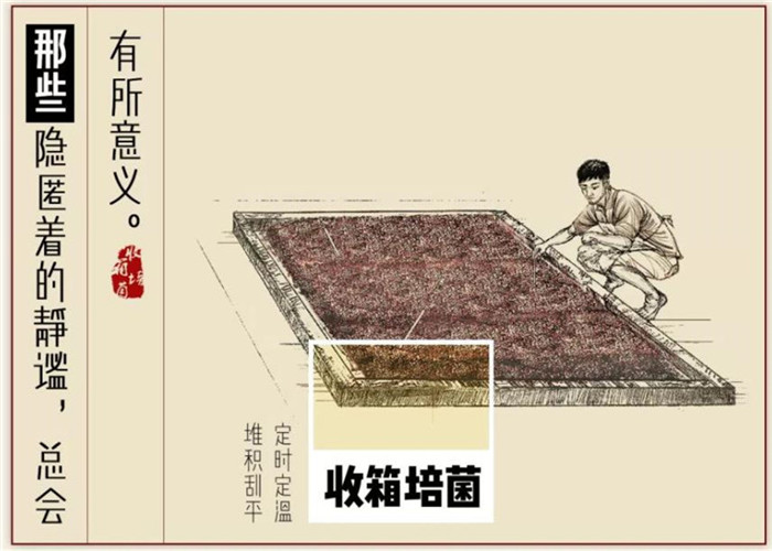江小白：为了一口好酒，我们选择让时间走慢一点